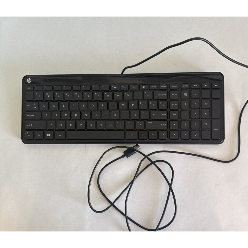 HP USB Wired Keyboard Black‎ Model SK-2028 Standard Very Good